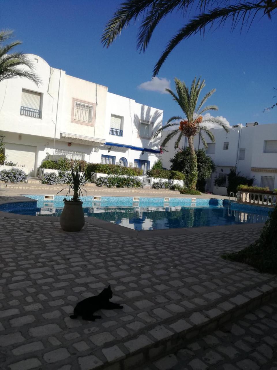 Sonny Appartement